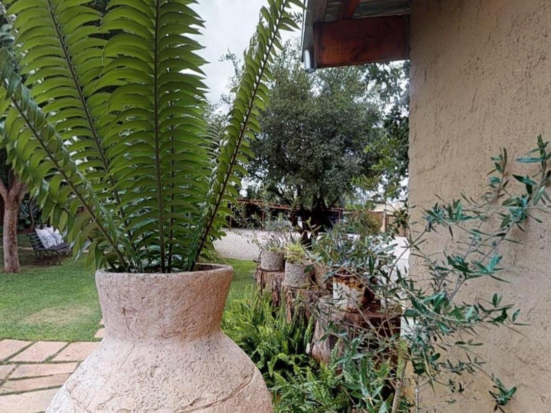 Cradle Valley Boutique Guesthouse Muldersdrift Eksteriør bilde