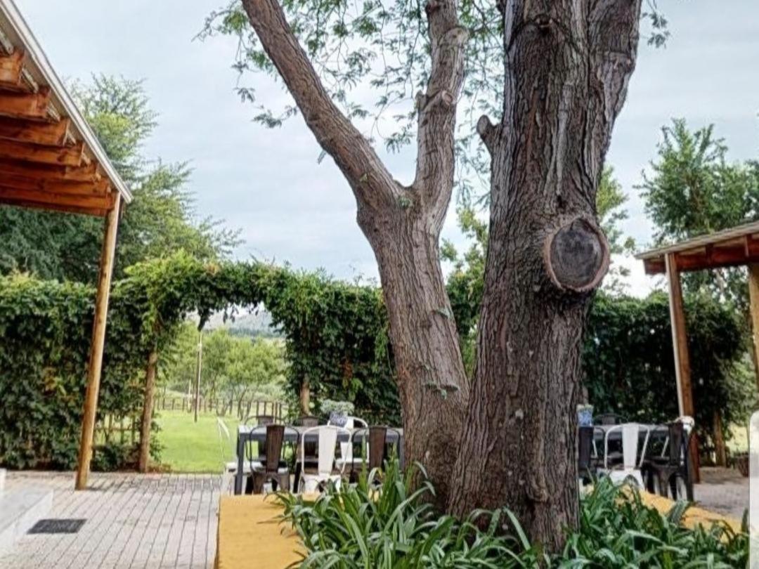 Cradle Valley Boutique Guesthouse Muldersdrift Eksteriør bilde